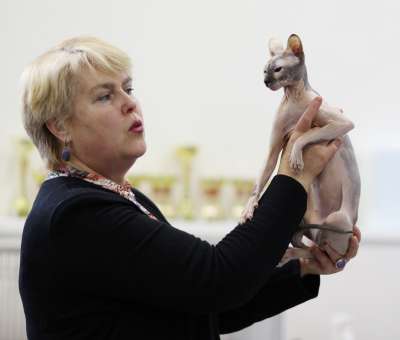 �������� ����� '������� ���-�����' 30 ������-1 ������� 2013., ������������ ��� 3583